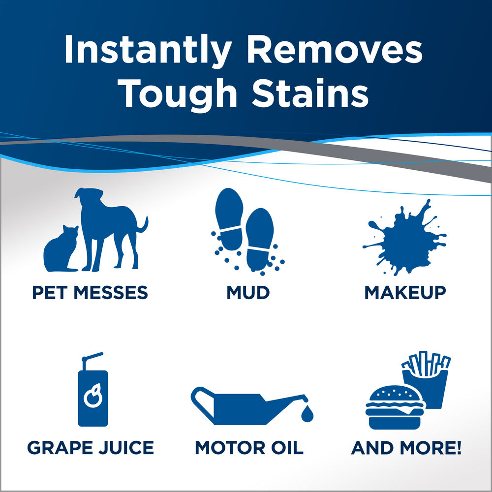 Stain & Stink Instant Stain Remover 1921 BISSELL Formulas